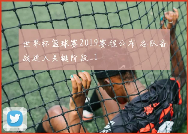 世界杯篮球赛2019赛程公布 各队备战进入关键阶段_1